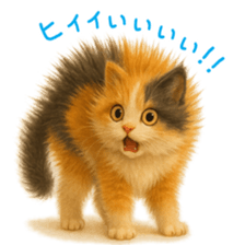 784244775