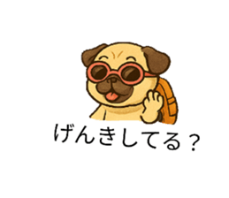 784247646