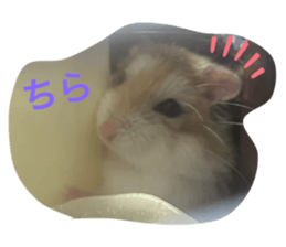 784285698