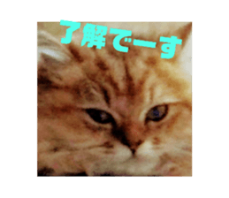 784287874