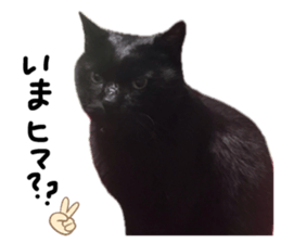 784296047