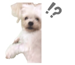 784296454