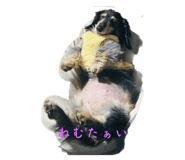 784296839