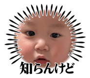 784300539