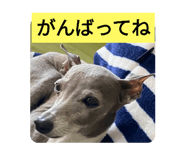 784301770