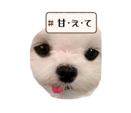 784304074
