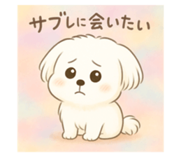 784306205