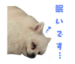 784307044