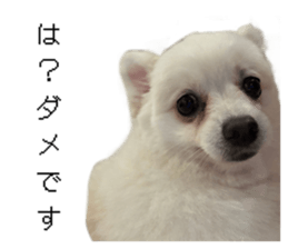 784307054