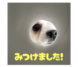 784307062