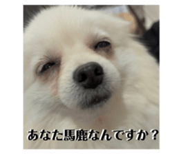 784307069