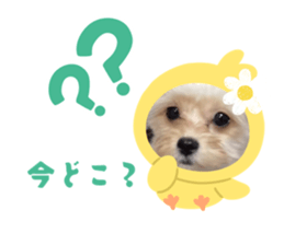 784308906