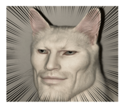 784313780