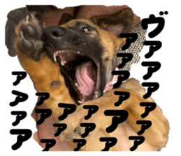 784322350