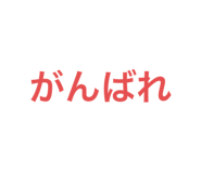 784338981