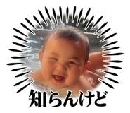 784342513