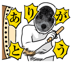 784342562