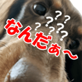 784371626