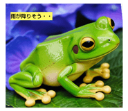 784373623