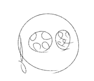 784383159