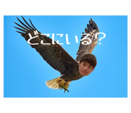 784388340