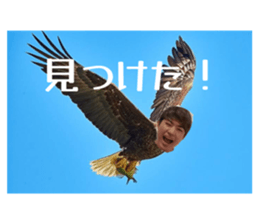 784388341