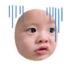784411855