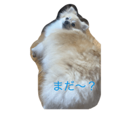 784423330
