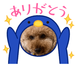 784424974