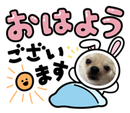 784427257
