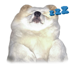 784443399