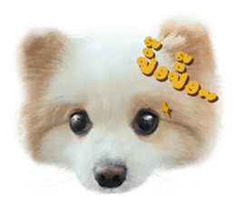 784443400