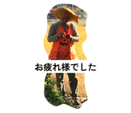 784445317