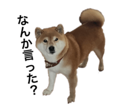 784445884