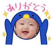 784446717
