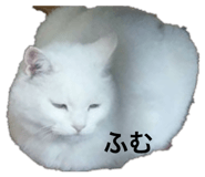784447185