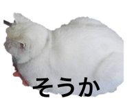 784447188