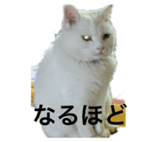784447189