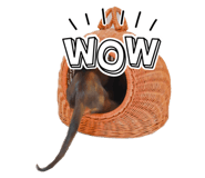 784454879