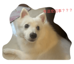 784477935
