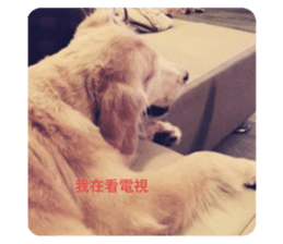 784487201