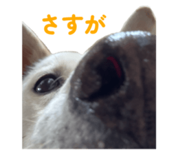 784488253
