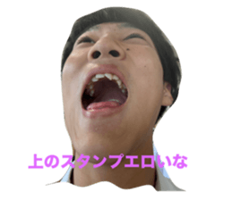 784493521