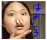 784527233
