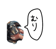 784527240
