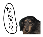 784527246