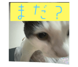784533704