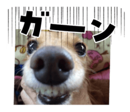 784536802