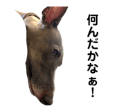 784538453