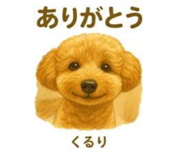 784543305